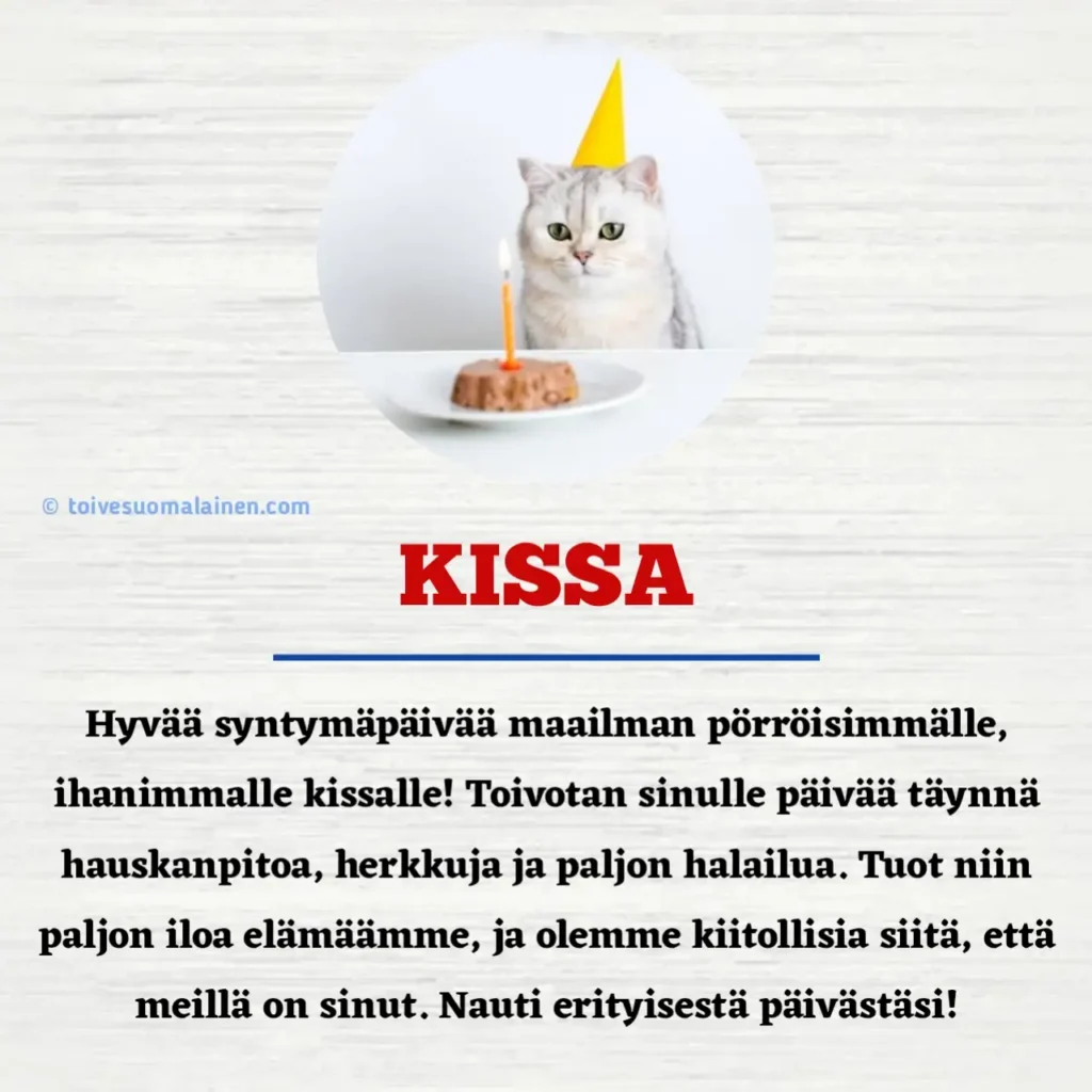  60 Hyv Syntym p iv Onnittelut Kissa